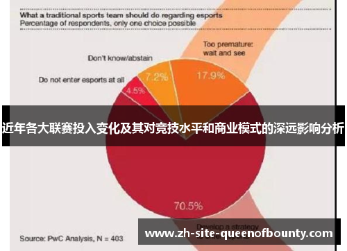 近年各大联赛投入变化及其对竞技水平和商业模式的深远影响分析