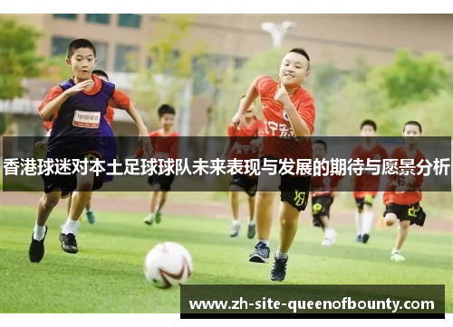 香港球迷对本土足球球队未来表现与发展的期待与愿景分析