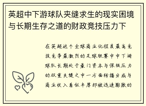英超中下游球队夹缝求生的现实困境与长期生存之道的财政竞技压力下 英超中下游球队夹缝求生的现实困境与长期生存之道的财政竞技压力下